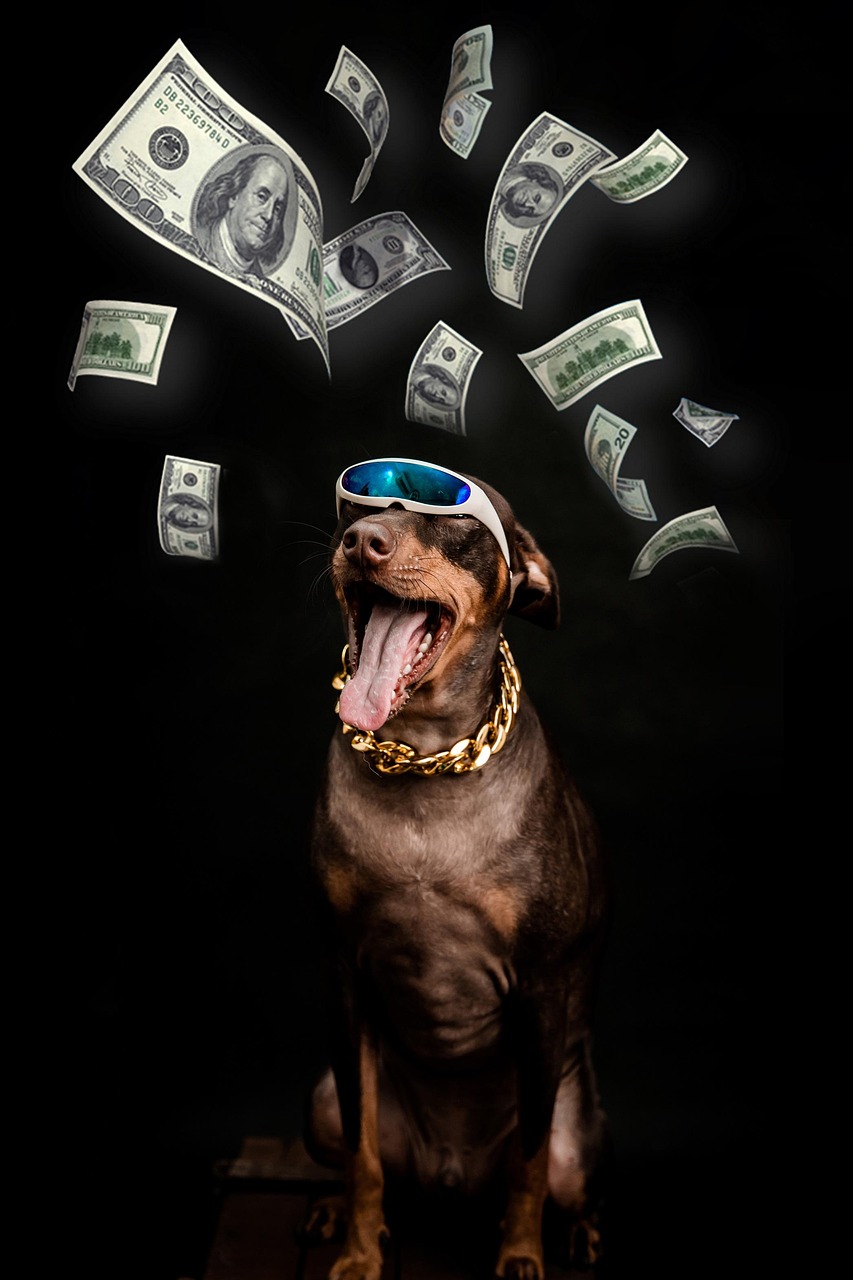 pinscher, dog, dollar, bills, rich, animal, pet, muzzle, nature, canine, necklace, portrait